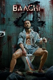 Baaghi 4 (2025) Hindi