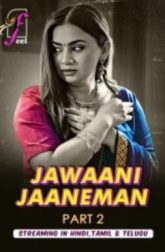 Jawaani Jaaneman (2025) Feel S01 Part 2 Web Series